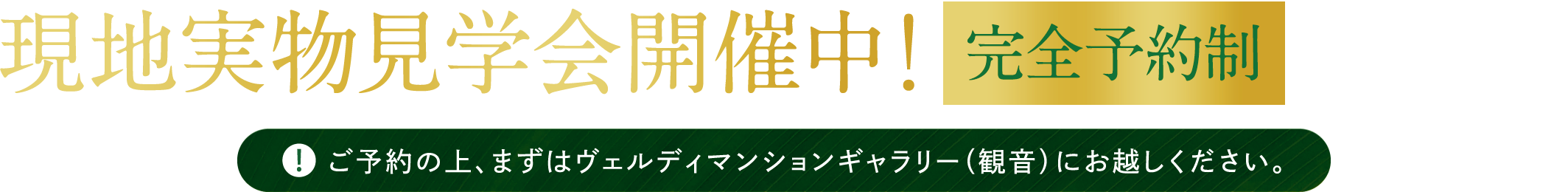現地実物見学会開催中!完全予約制