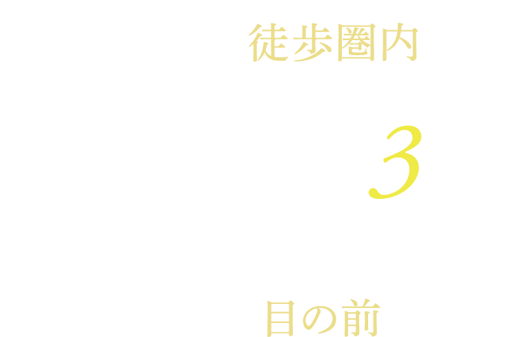 アストラムライン 「大塚」駅 徒歩圏内 フレスタＡシティ店 徒歩3分 大塚公園目の前